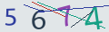 verifycode